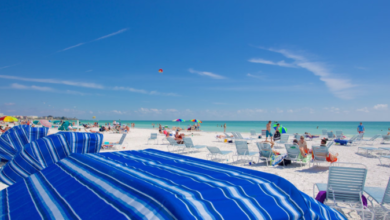 Things to Do Siesta Key