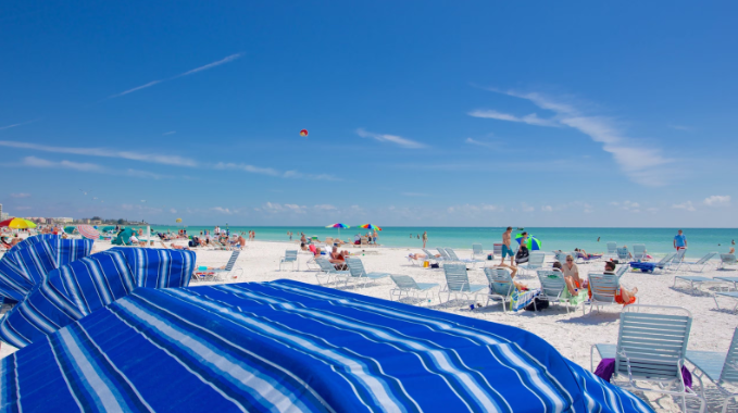 Things to Do Siesta Key