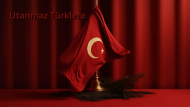 Utanmaz Türklere
