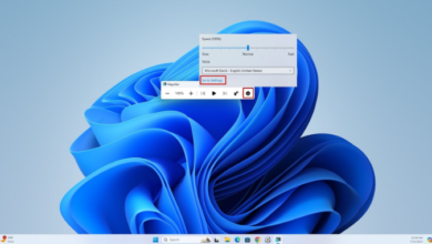 How to Zoom in on Windows