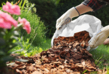 Mulch near me