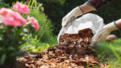 Mulch near me